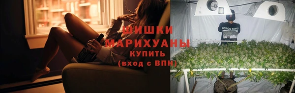 ПСИЛОЦИБИНОВЫЕ ГРИБЫ Богородицк