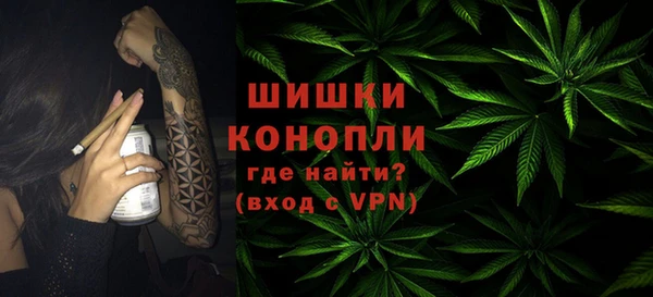 прущие крисы Белокуриха